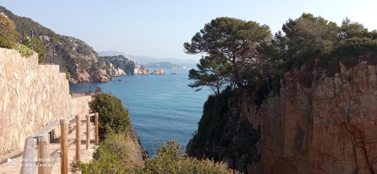 VILLA BLANCA 10 minutos de la Playa Costa brava Massanet De La Selva Exterior foto